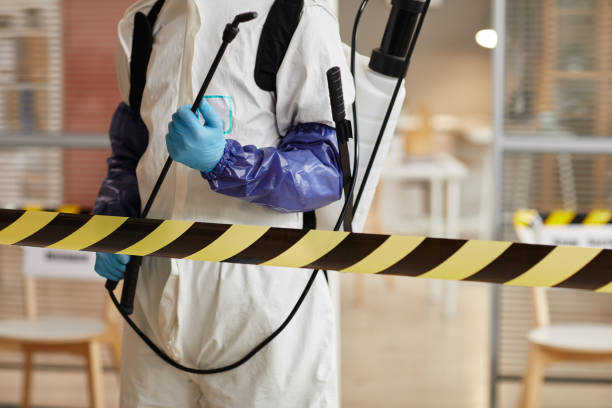 Professional Sewage Cleanup technician working in Clinton, PA